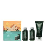 Paul Mitchell Tea Tree Invigorating Travel Kit