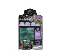 Paul Mitchell Tea Tree Lavender Mint Moisturising Gift Set