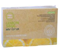 Paul Mitchell Tea Tree Lemon Sage Hair Lotion Keravis and Lemon Sage intensive treatment for thinning hair 12 x 6 ml