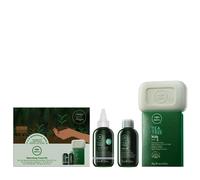 Paul Mitchell Tea Tree Refreshing Kit