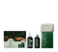 Paul Mitchell Tea Tree Refreshing Travel kit