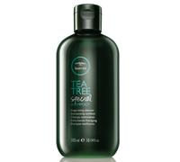 Paul Mitchell Tea Tree Special Shampoo 300ml