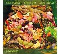 Paul Plimley - Barry Guy - Lucas Niggli - Hexentrio