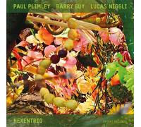 Paul Plimley - Barry Guy - Lucas Niggli - Hexentrio