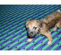 Paul Robeson - Ol' Man River