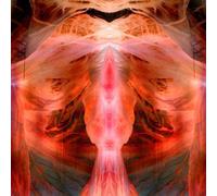 Paul Schutze The Annihilating Angel Or the Surface of the World (Vinyl)