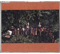 Paul Simon - Obvious Child