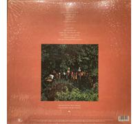 Paul Simon The Rhythm of the Saints (Vinyl) 12" Album