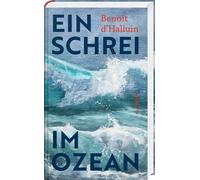Paul Sourzac Benoit d`Halluin Ein Schrei im Ozean (Hardback)