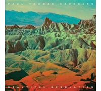 Paul Thomas Saunders - Beautiful Desolation [VINYL]