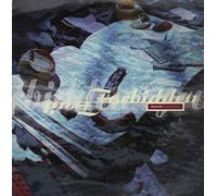 Paul Van Dyk - Forbidden Fruit [12" VINYL]