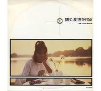 PAUL WELLER - DEE C LEE / SEE THE DAY - 12 INCH VINYL