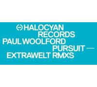 Paul Woolford - Pursuit (Extrawelt Remixes) [Vinyl]