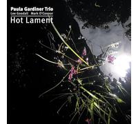 Paula Gardiner Trio, Lee Goodall & Mark O'Connor - Hot Lament