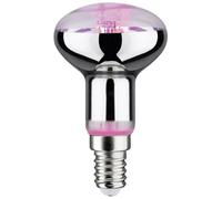 Paulmann 28734 LED Grow Light 230V E14 4W Amber 1pc Indoor Plant G...