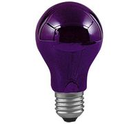 Paulmann 59070 UV Light Bulb E-27 75W Black Light Disco Effect