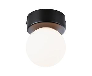 Paulmann 71068 Ceiling luminaire Selection Bathroom Gove IP44 G9 230V max. 20W dimmable Black matt, Satin Bathroom luminaire