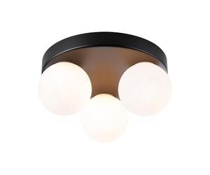 Paulmann 71069 Ceiling luminaire Selection Bathroom Gove IP44 G9 230V max. 3x20W dimmable Black matt, Satin Bathroom luminaire