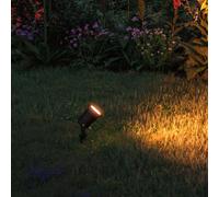 Paulmann 94731 LED ground spike light