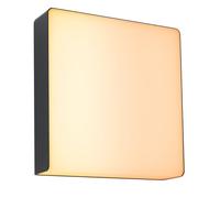 Paulmann 94842 LED Outdoor wall luminaire Smart Home Zigbee Azalena Motion Sensor IP44 250x97mm Tunable Warm 8.5W 700lm Anthracite Outdoor luminaire