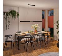 Paulmann Aptare LED hanging light, black, 2700K, smart, dimmable