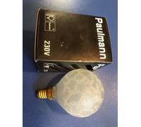 Rarity - Paulmann Mini - Globe Lamp E14 40W G60 Crocodile Ice Satin 143.49 [EEK: G]