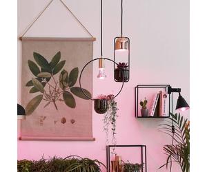 Paulmann Go Green GU10 3.5W LED grow light bulb