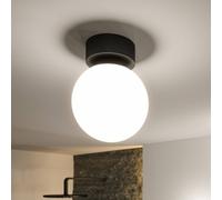 Paulmann 71072 LED Ceiling luminaire Selection Bathroom Gove IP44 3000K 900lm 230V 9W Black matt, Satin Bathroom luminaire