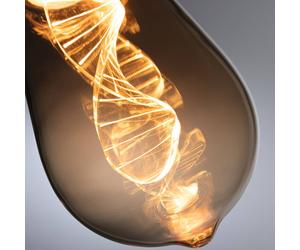 Paulmann LED bulb E27 3.5W Helix 1,800K ST64 gold
