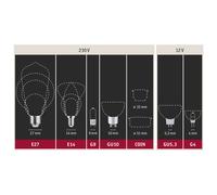 Paulmann 28626 LED Filament lamp G125 6 watts Classic lamp dimmable Opal 2700 K Warm White E27