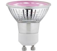 Paulmann LED Grow Light 230V 3.5W Amber Promotes Indoor Plant Growth 28974