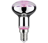 Paulmann LED Grow Light 230V E14 4W Amber 1pc Indoor Plant Growth 28734