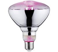 Paulmann LED Grow Light 230V E27 6.5W Amber Full Glass Plant Lamp 28737