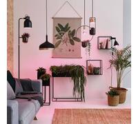 Paulmann LED grow light bulb E27 R80 6.5W