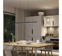 Paulmann LED hanging light Lento, up/down, CCT, dimmable, black