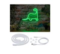 Paulmann LED strip Neon Colorflex USB 1m green