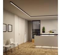 Paulmann Linion batten light, black, 1 m Master ZigBee transformer