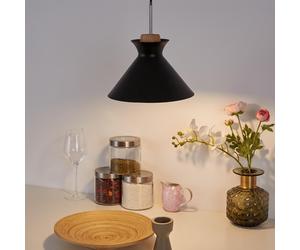 Paulmann Pauleen Pendant Light Mystical Delight Black/Wood Round 5W E27 LED
