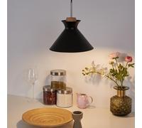 Paulmann Pauleen Pendant Light Mystical Delight Black/Wood Round 5W E27 LED