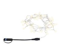Paulmann Plug & Shine LED fairy lights mini, 5 m