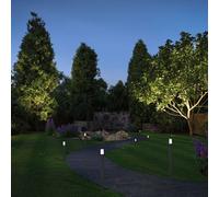Paulmann Plug & Shine Flarea ground spike light 20 cm