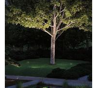 Paulmann Plug & Shine LED ground spike light Radon