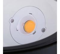 Paulmann 94669 Plug&Shine LED outdoor luminaire Plug&Shine wall wall washer Ocos IP67 incl. 1x6.1W dimm. Outdoor luminaires Anthracite Metal 3000K