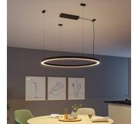 Paulmann power feed Box Linion black ZigBee 230/24V