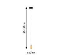 Paulmann 71134 luminaire Ravi IP44 E27 max. 60W Black matt, Gold Pendant lamp not Included