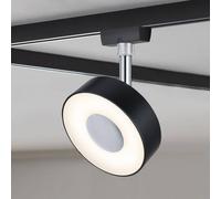 Paulmann URail Circle spot black dimmable 4,000 K