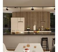 Paulmann URail Hildor LED spot black 3,000 K