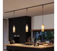 Paulmann 95613 Vitus 2Easy Shade 110mm for URail Wood Rail System