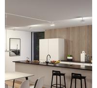 Paulmann URail LED spot Hildor, signal white, 4,000K, step dimmable