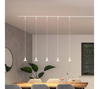 Paulmann URail pendant light Runa, signal white, GU10